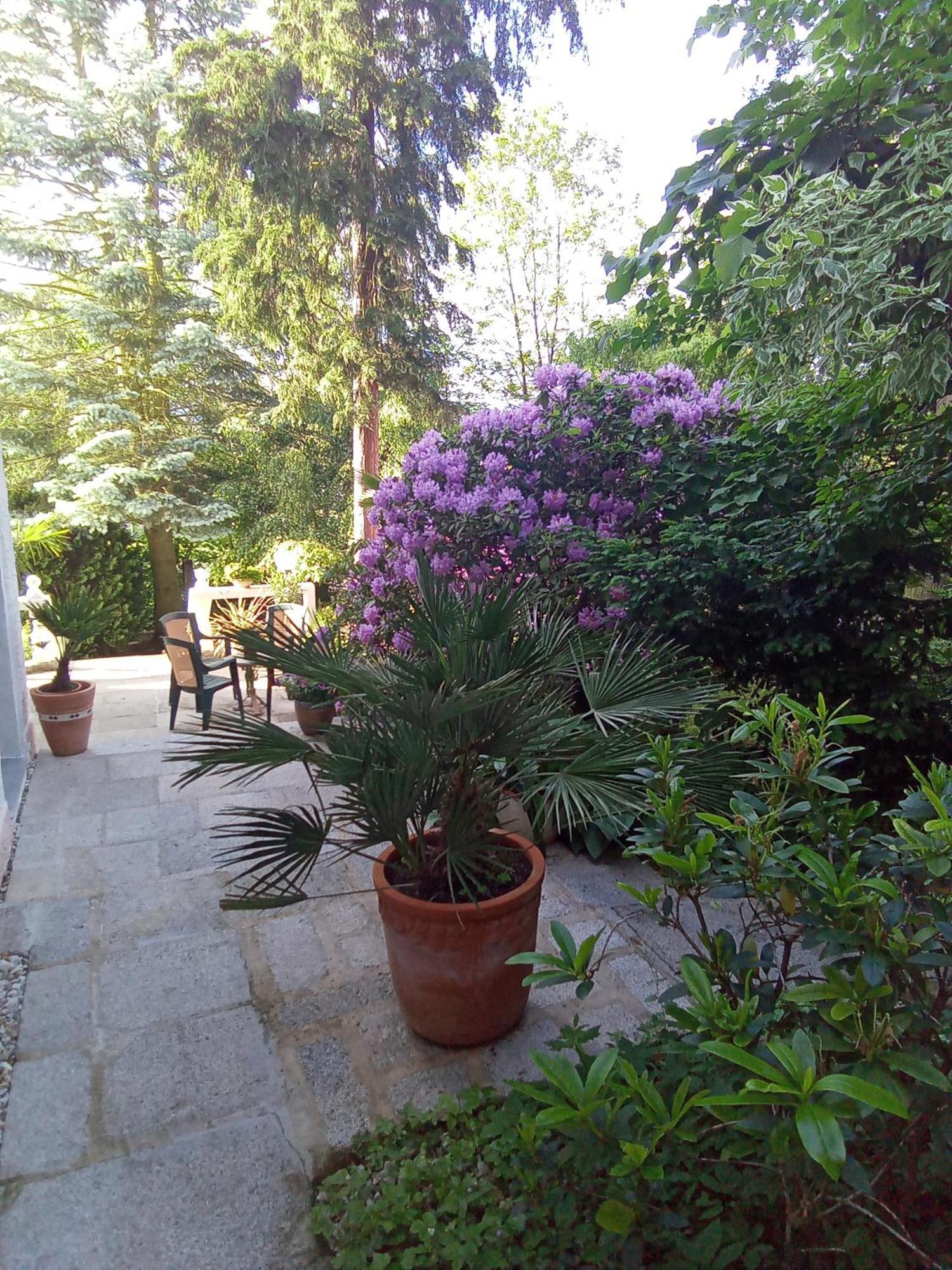 Pension Baron Schoeneck Karlsbad Exterior foto